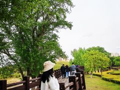 -丁香湖公园