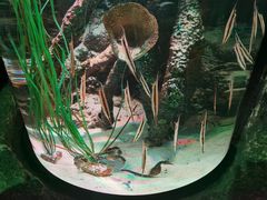 -沈阳海洋探索中心