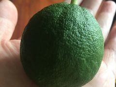 -南通博物苑-崇川人民公园