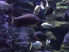 -成都浩海立方海洋公园