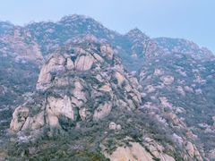 -大岭沟猕猴桃谷风景区