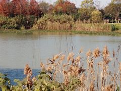 -西溪国家湿地公园