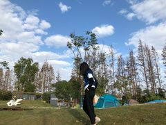 -前小桔亲子创意农场·草莓采摘·露营烧烤