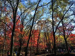 -本溪老边沟风景区