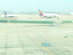 -乐天免税店(仁川国际机场店)