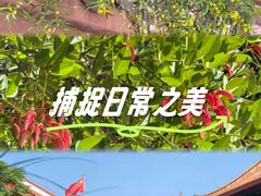 -金鸡山公园