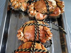 -乡乐园蟹庄·阳澄湖农家乐