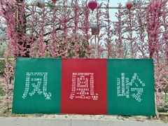 -北京凤凰岭