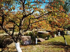 -白马涧龙池景区