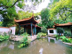 -广州兰圃