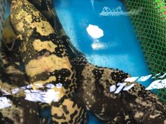 -清水湾3号(东方小周海鲜店)