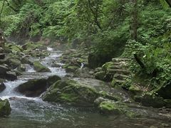 -本溪汤沟绿石谷森林公园