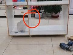 -宠颐生中康贝怡动物医院