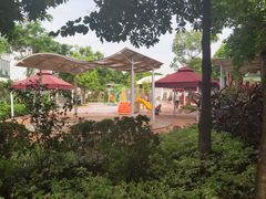 -荔湾区儿童公园