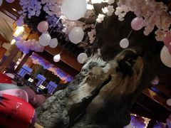 -汤乐汇•足道•SPA生活馆