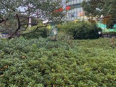 -湖州太湖旅游度假区-月亮广场