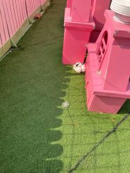 -萌宠亲子动物乐园(槐房万达店)