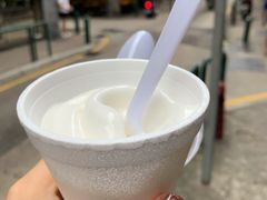 -洪馨椰子