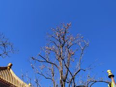 -雍和宫(地铁站)