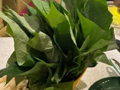 -润园四季椰子鸡火锅(海上世界店)