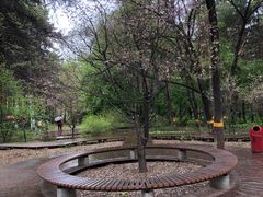 -黑龙江省森林植物园