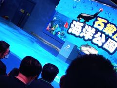 -石家庄海洋公园