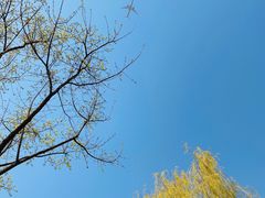 -东郊湿地公园