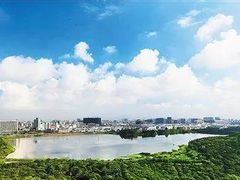 -立新湖公园