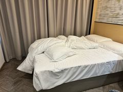 -泰平丽锦酒店(成都太古里春熙路店)