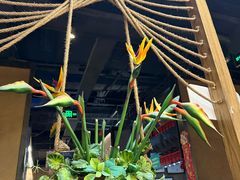 -云海肴·汽锅鸡·云南菜(天津国金汇店)