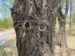 -野鸭湖国家湿地公园