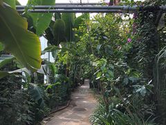 -呀路古热带植物园