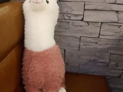 -熹悟海鲜火锅·广式打边炉