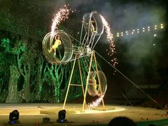 android_upload_pic-灵玲国际马戏城