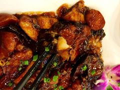 兴圆苑-兴圆苑