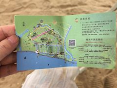 -合肥滨湖国家森林公园