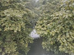 -阿哈湖国家湿地公园