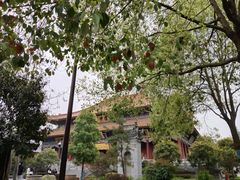 -西安大兴善寺