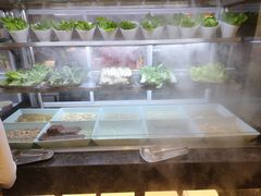 -星伦多 自助料理(圆融店)