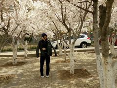 -屯靠屯地锅王(西南路店)