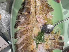 -海派美食·家宴海鲜青岛菜·石锅鲽鱼头(东方城店)