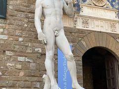 -圣母百花大教堂穹顶