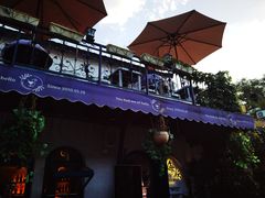 -Sirena海妖日咖夜酒