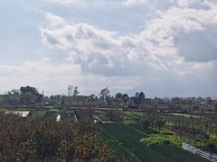 -翠田Green Field Kitchen