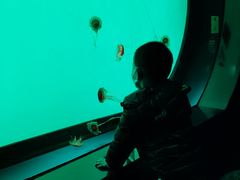 -沈阳海洋探索中心