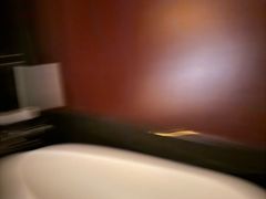 -深圳湾木棉花酒店