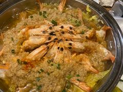 -老号尤兔头(幸福店)