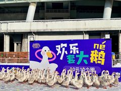 -沈阳奥体冰雪嘉年华