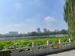 -莲花池公园