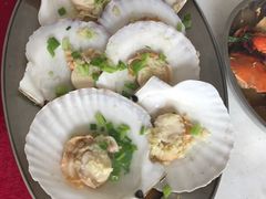-大湾区中央湿地公园-十九涌
